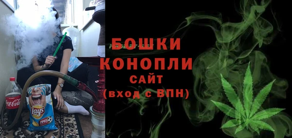 дурь Няндома