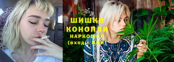 твердый Нягань