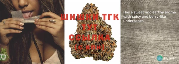 дурь Няндома