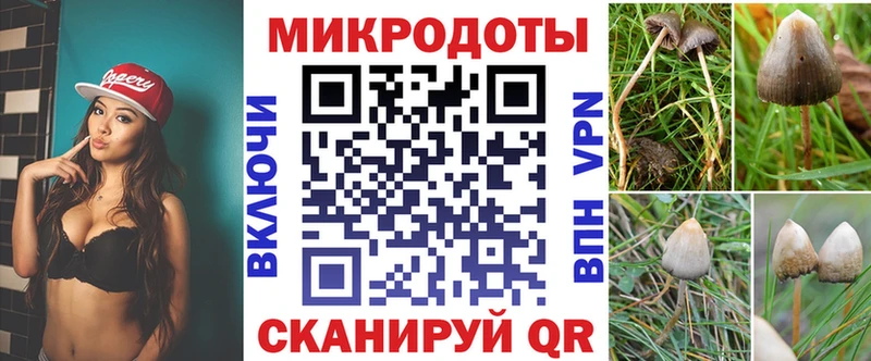 Псилоцибиновые грибы мухоморы как найти Химки